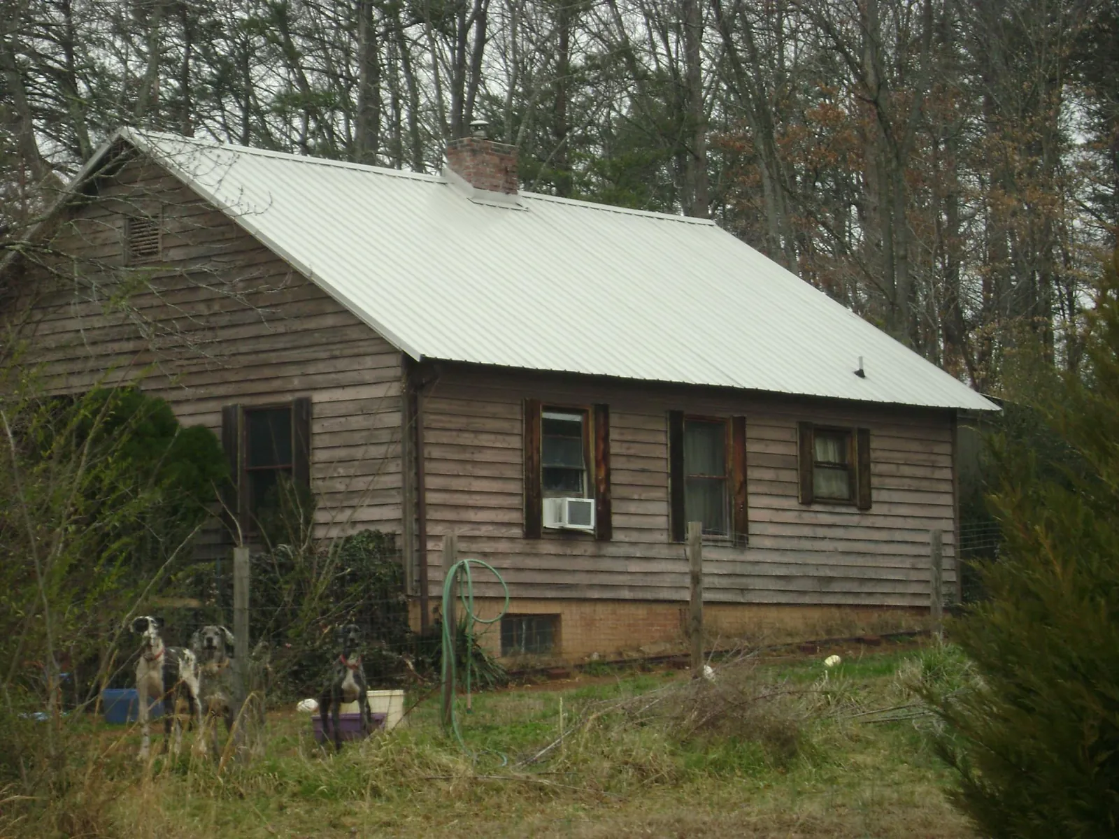 White metal roof on an old wood sided farmhouse, from a Asphalt Shingle Roof Repair job in Leggett